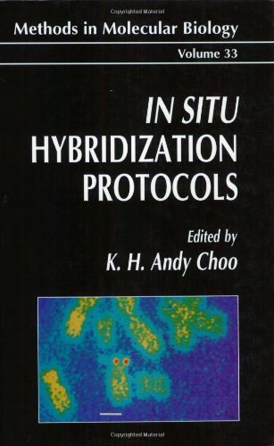 Beispielbild fr In Situ Hybridization Protocols (Methods in Molecular Biology) zum Verkauf von Books From California