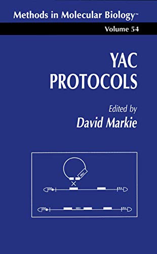 9780896033139: YAC Protocols: 54 (Methods in Molecular Biology)