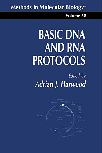 Stock image for Basic DNA and RNA Protocols (Methods in Molecular Biology) for sale by HPB-Red
