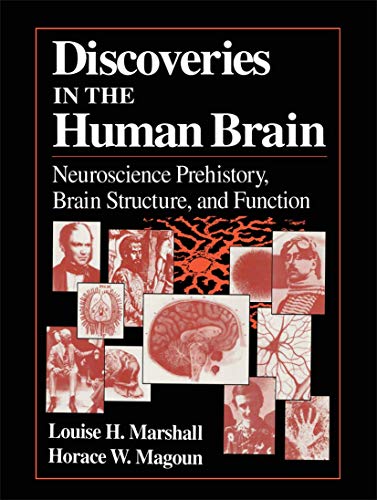 Stock image for Discoveries in the Human Brain : Neuroscience Prehistory, Brain Structure, and Function for sale by Better World Books: West