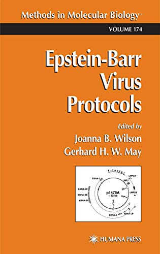 Beispielbild fr Epstein-Barr Virus Protocols (Methods in Molecular Biology, 174) zum Verkauf von Books From California