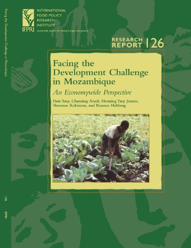 Stock image for Facing the Development Challenge in Mozambique: An Economywide Perspective (Research Report 126 - International Food Policy Research Institute - IFPRI) . Food Policy Research Institute), 126,) for sale by Revaluation Books