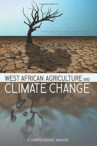 Imagen de archivo de West African Agriculture and Climate Change: A Comprehensive Analysis a la venta por WorldofBooks