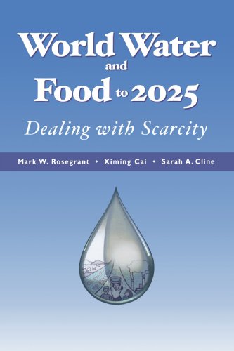 Beispielbild fr Global Water and Food : Prospects to 2025 zum Verkauf von Better World Books: West