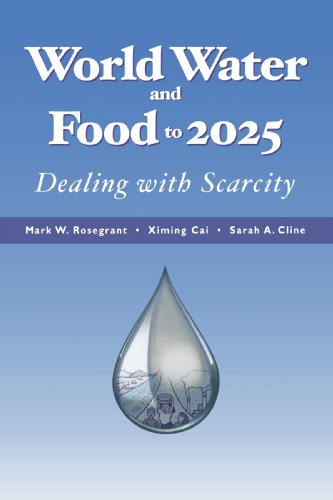 Imagen de archivo de World Water And Food To 2025: Dealing With Scarcity a la venta por HPB-Diamond