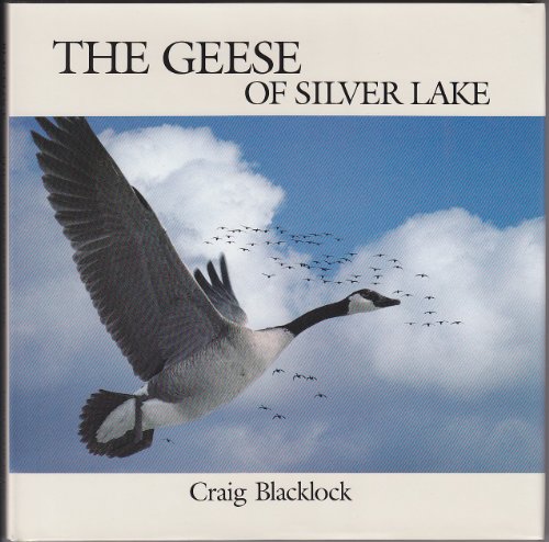 Beispielbild fr The Geese of Silver Lake zum Verkauf von Better World Books