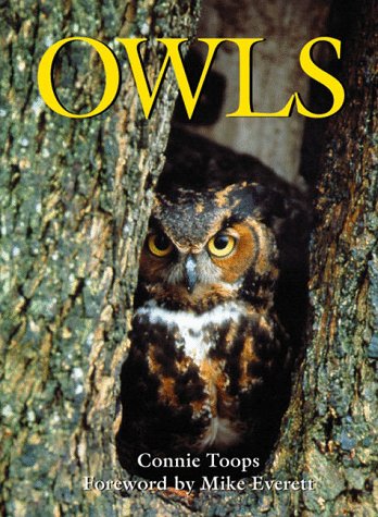 Imagen de archivo de Owls (Voyageur Wilderness Books) a la venta por Wonder Book
