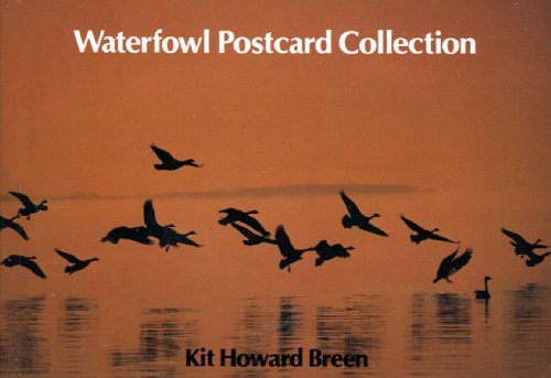 Imagen de archivo de Waterfowl Postcard Collection a la venta por Bargain Finders of Colorado
