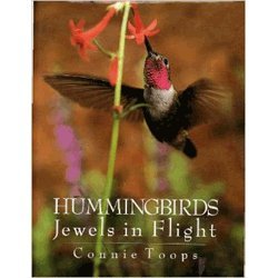 Imagen de archivo de Hummingbirds : Jewels in Flight a la venta por Better World Books