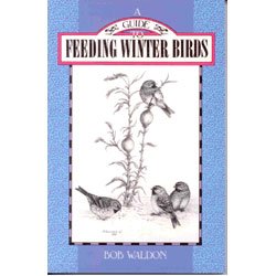 A Guide to Feeding Winter Birds