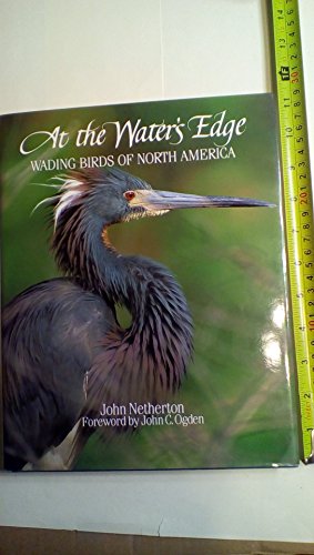 Beispielbild fr Water's Edge: Wading Birds of North America zum Verkauf von Books From California