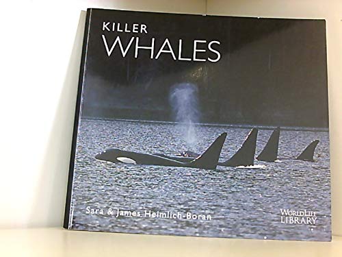 Beispielbild fr Killer Whales zum Verkauf von Half Price Books Inc.