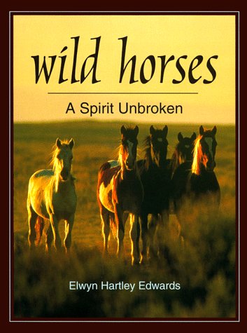 Imagen de archivo de Wild Horses: A Spirit Unbroken a la venta por Once Upon A Time Books