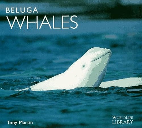 Beispielbild fr Beluga Whales zum Verkauf von Better World Books