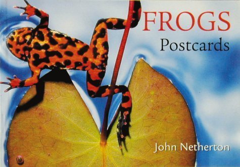 Stock image for Frogs Postcards Book for sale by ThriftBooks-Atlanta