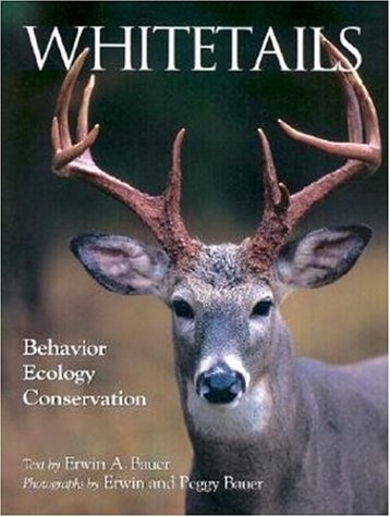 9780896583085: Whitetails: Behavior, Ecology, Conservation