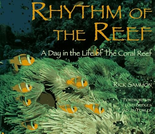 Imagen de archivo de Rhythm of the Reef : A Day in the Life of the Coral Reef a la venta por Better World Books