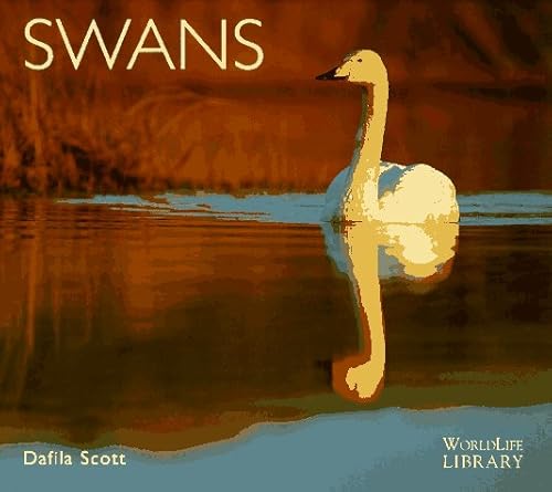 Beispielbild fr Swans zum Verkauf von Better World Books