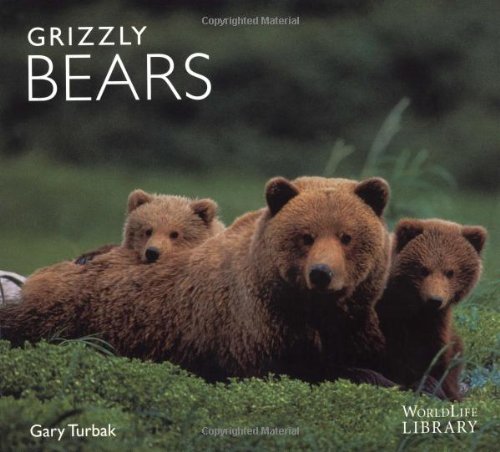 Imagen de archivo de Grizzly Bears (World Life Library) a la venta por SecondSale