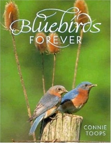 Stock image for Bluebirds Forever Wildlife for sale by SecondSale