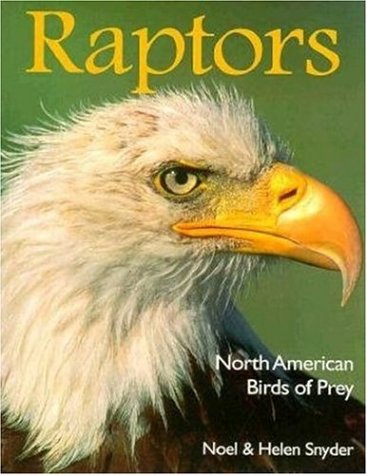 Imagen de archivo de Raptors : North American Birds of Prey a la venta por Better World Books