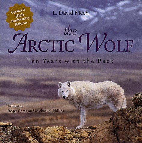 Beispielbild fr The Arctic Wolf : Ten Years with the Pack zum Verkauf von Better World Books