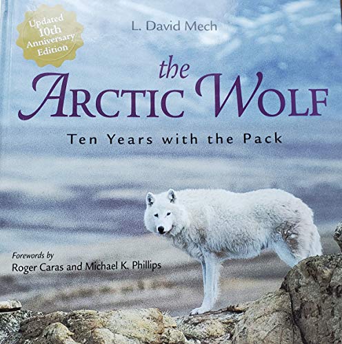 Stock image for The Arctic Wolf: Ten Years With the Pack for sale by Goodwill