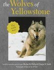 Stock image for The Wolves of Yellowstone for sale by Better World Books: West