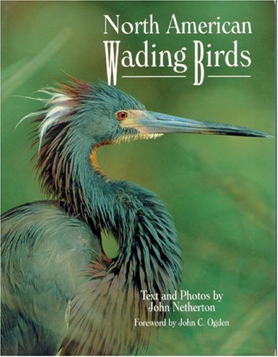Beispielbild fr North American Wading Birds zum Verkauf von WorldofBooks