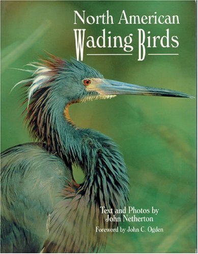 North American Wading Birds (9780896584020) by Netherton, John