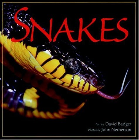 Imagen de archivo de Snakes (Wildlife) a la venta por Wonder Book