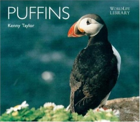 Imagen de archivo de Puffins a la venta por Better World Books