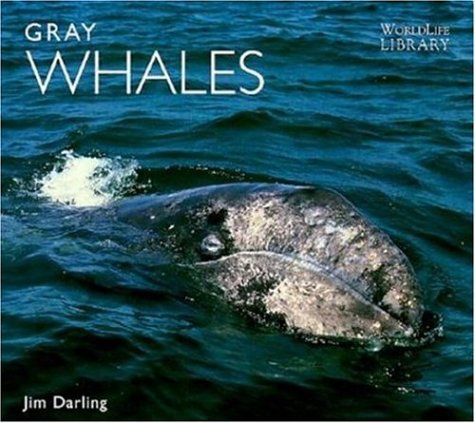 Imagen de archivo de Gray Whales a la venta por ThriftBooks-Dallas