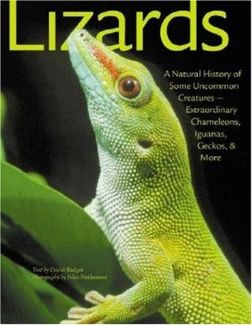 Beispielbild fr Lizards : A Natural History of Some Uncommon Creatures -- Extraordinary Chameleons, Iguanas, Geckos, and More zum Verkauf von Better World Books