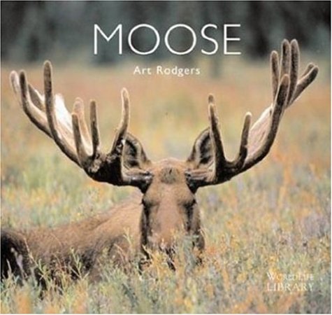 Stock image for Moose (World Life Library) for sale by Ergodebooks