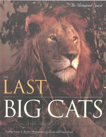 Stock image for The Last Big Cats: An Untamed Spirit for sale by Seattle Goodwill