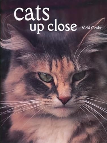 Beispielbild fr Cats Up Close zum Verkauf von SecondSale