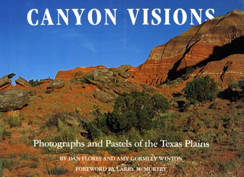 Imagen de archivo de Canyon Visions: Photographs and Pastels of the Texas Plains a la venta por HPB-Diamond