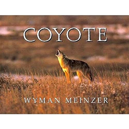 9780896723535: Coyote