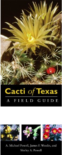Beispielbild fr Cacti of Texas: A Field Guide, with Emphasis on the Trans-Pecos Species (Grover E. Murray Studies in the American Southwest) zum Verkauf von SecondSale