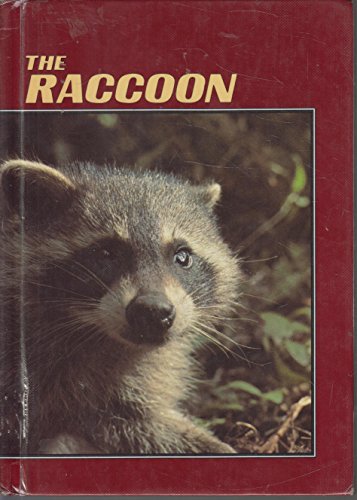 Stock image for The Raccoon (Wildlife, Habits & Habitat) for sale by Dailey Ranch Books