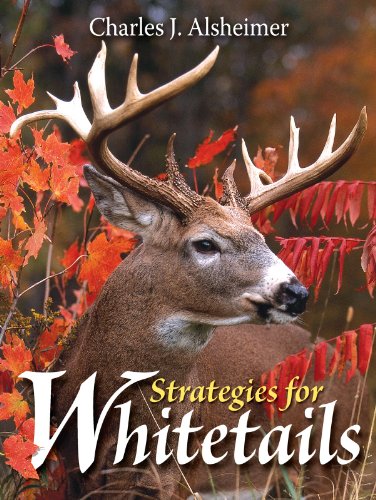 Beispielbild fr Strategies for Whitetails zum Verkauf von ZBK Books