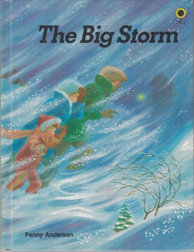 Stock image for The big storm for sale by Once Upon A Time Books