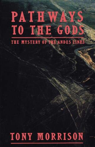 Stock image for Pathways To The Gods: The Mystery of the Andes Lines for sale by HPB-Ruby
