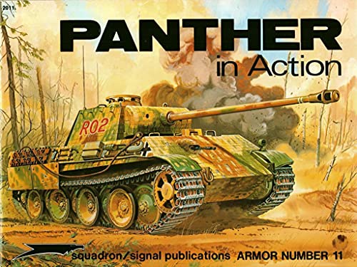 9780897470445: Panther in Action