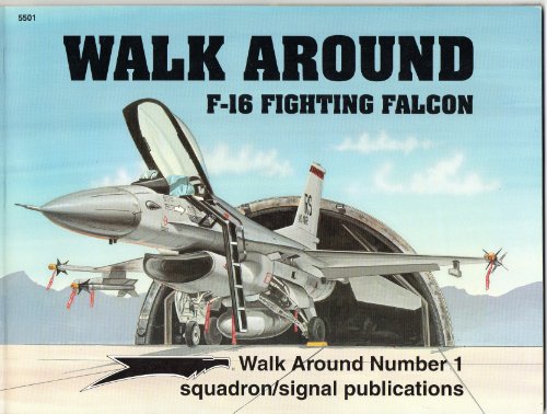 Walk Around. F-16 Fighting Falcon.