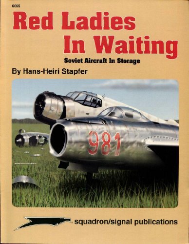 

Red Ladies in Waiting. Soviet Aircraft in Storage.