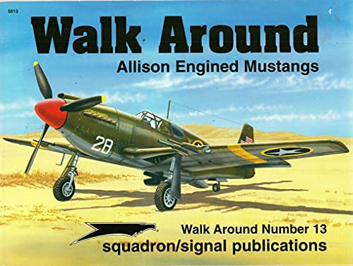 9780897473866: Allison Engine Mustangs (Walk Around)