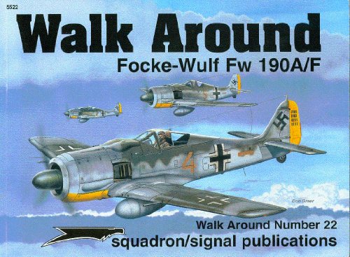 9780897474146: Focke-Wulf Fw 190A/F - Walk Around No. 22