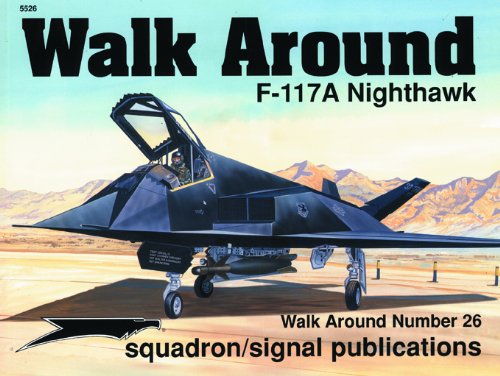 9780897474252: F-117 Night Hawk (Walk Around)